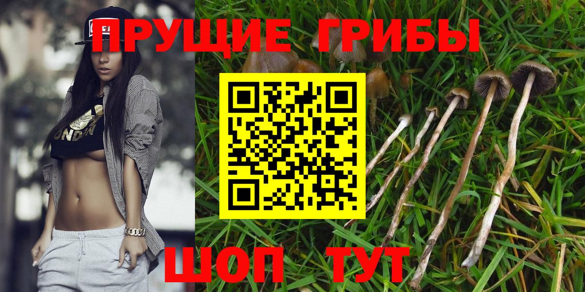 Галлюциногенные грибы GOLDEN TEACHER  Вход с VPN  Галлюциногенные грибы Psilocybe  Татарск 